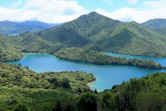 Queen Charlotte Track on the Te Araroa Trail