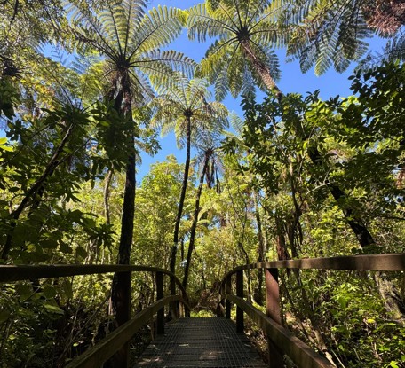 Queen Charlotte Track camp