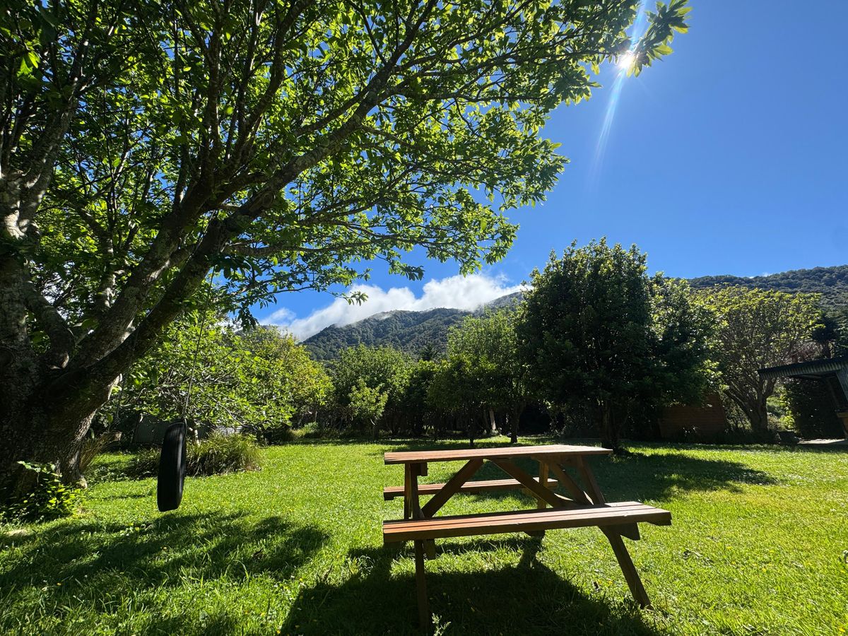 Camp%20with%20picnic%20table