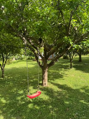 Camp%20with%20swing%20%282%29