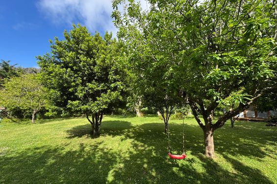 Camp%20with%20swing%20ii