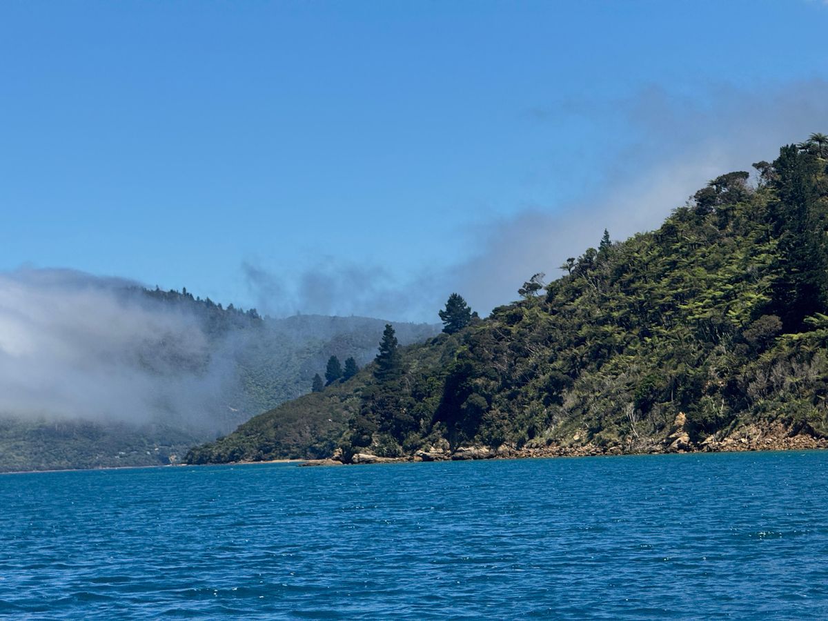 Endeavour%20inlet%20%282%29